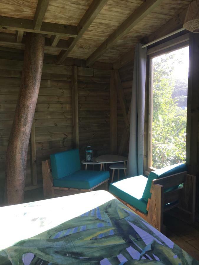 Ali-Nais Location Bed and Breakfast Deshaies Eksteriør billede